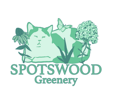 Spotswood Greenery