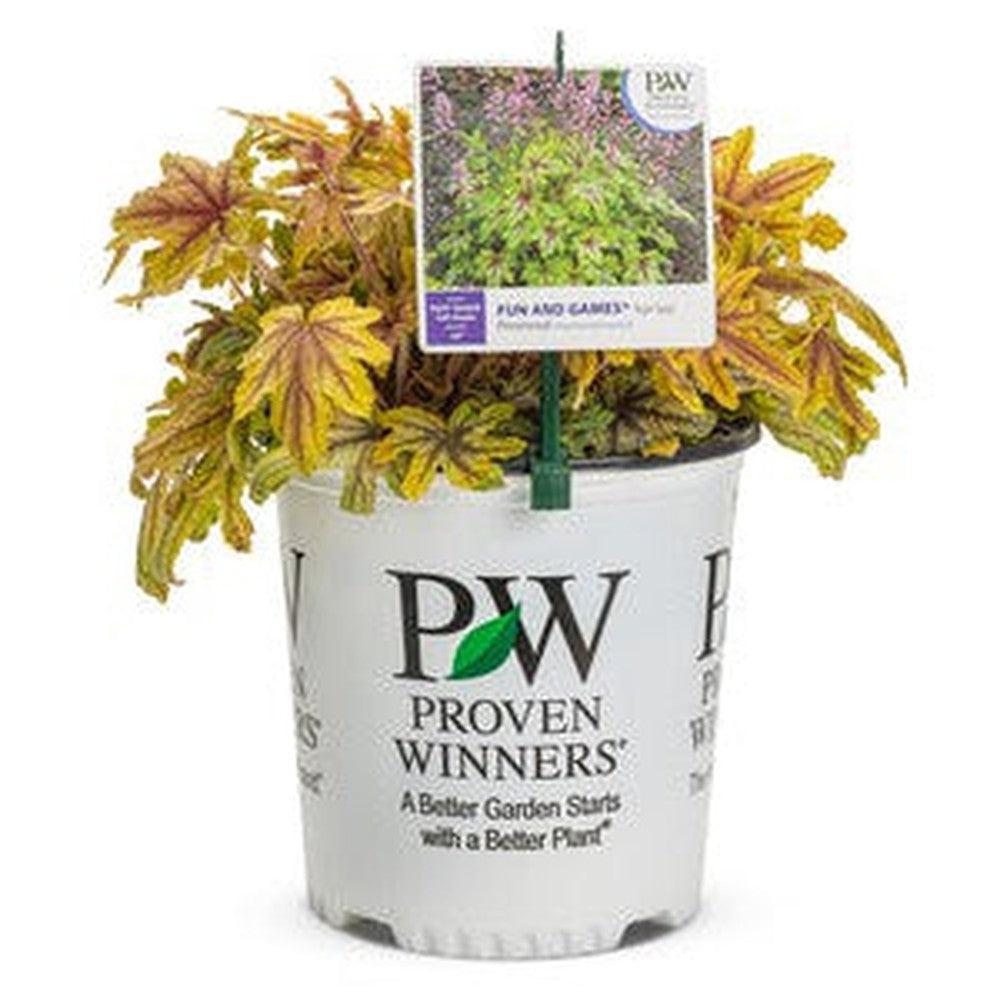 Fun and Games® Eye Spy Foamy Bells