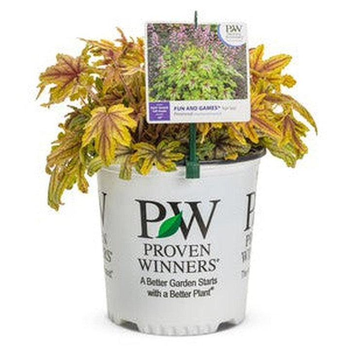 Fun and Games® Eye Spy Foamy Bells