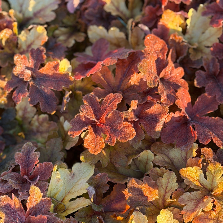 Fun and Games® Hopscotch Foamy Bells