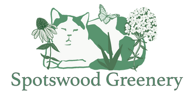 Spotswood Greenery